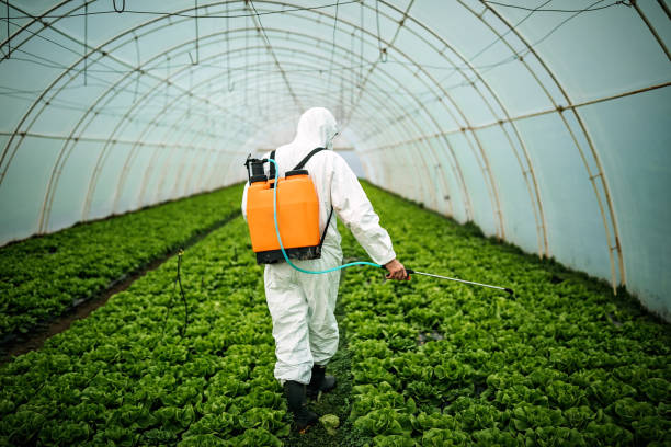 Best Pest Removal Services  in Brownfield, TX