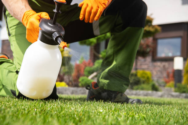 Best Pest Control Near Me  in Brownfield, TX