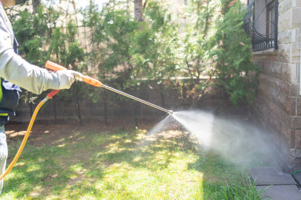 Best Pest Removal Services  in Brownfield, TX